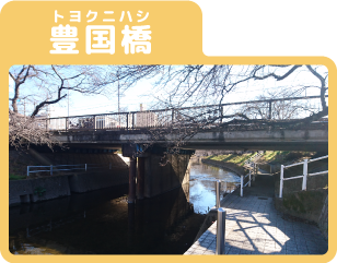 愛知県岩倉市五条川の豊国橋（とよくにはし）
