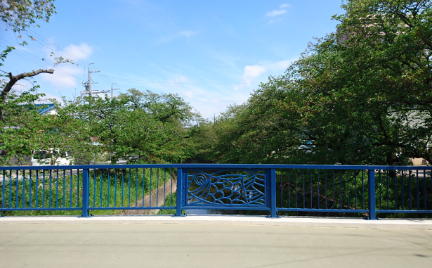 愛知県岩倉市五条川の真光寺橋（シンコウジハシ）