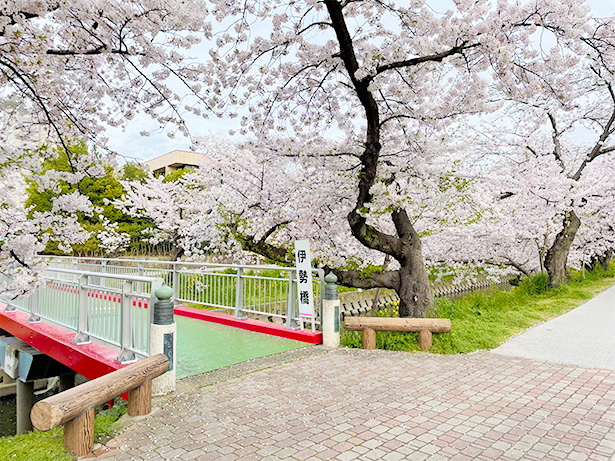 愛知県岩倉市五条川の伊勢橋（イセハシ）